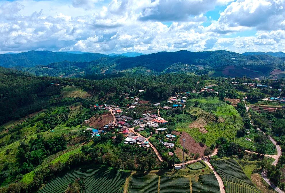 Doi Mae Salong Panorama in the North of Thailand